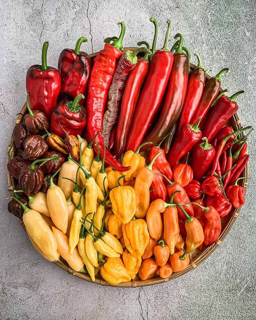 Moroccan peppers
