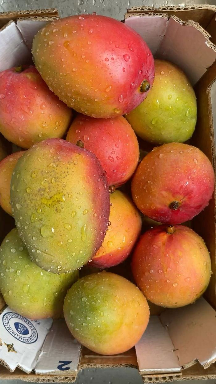 Mango, Fresh Marqet Kenya, Mali, Senegal