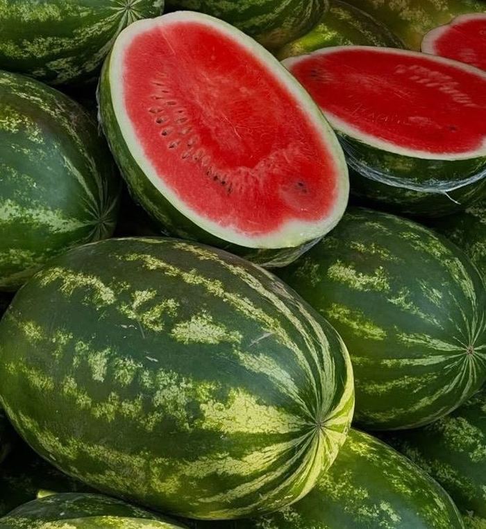 Watermelon, Fresh Marqet Morocco
