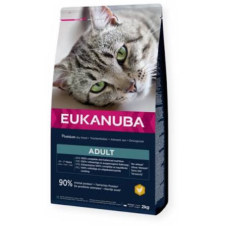 Eukanuba Dry Cat Food