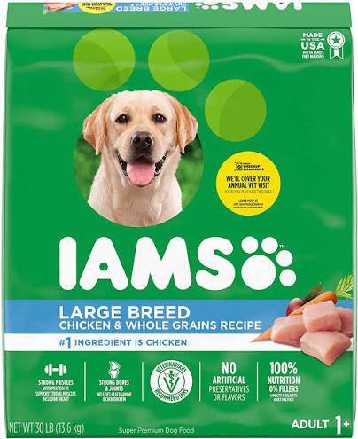 IAMS Dry Dog Food